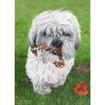 Painting of Bobby, a Shih Tzu cross Lhasa Apso
