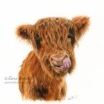 A cheeky young Highland cow with its tongue out. 7.5" x 7.5" watercolour.  Ref photo by Luca Farmilo on Unsplash. Original and print available to purchase in my online Shop