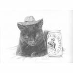 Cat pencil drawing: Gary