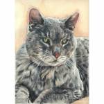 Blue, cat painting in watercolour.