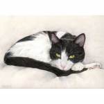 Cat painting: Charlie