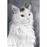 Luna, cat painting in watercolour