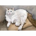 Luna, cat painting in watercolour