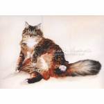 Jaspa, Tortoiseshell cat painting in watercolour.