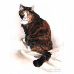 Sally, Tortoiseshell cat painting in watercolour.