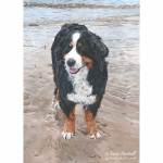 Dog painting. Esme, Bernese Mountain Dog