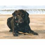 Dog painting. Corbie, Chocolate Labrador
