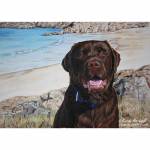 Dog painting. Logie, Chocolate Labrador
