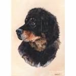 Dog painting: Flora, Tibetan Mastiff