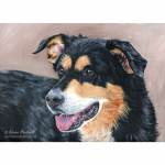 Dog painting. Smudge, Border Collie