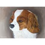 Cavalier King Charles Spaniel Painting: Biscuit