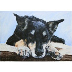 Painting of Jess, Mixed Breed Dog