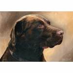 Painting of Chocolate Labrador Bailey