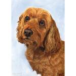 Cocker Spaniel Painting of Ollie
