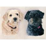 Painting of dogs Honey and Daisy