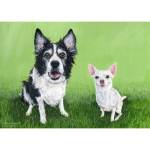 Painting of Border Collie Meg and Chihuahua Kade