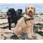 Painting of Cockerpoos Monte and Ziggy