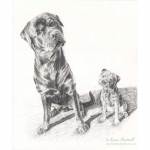 Drawing of Rottweiler Vinnie and Border Terrier Daisy