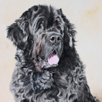 Dog painting. Arthur, Newfoundland. Watercolour,
