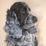 Dog painting. Belle