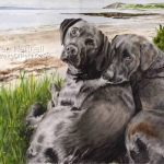 Dog painting. Bruce and Max, Black Labradors