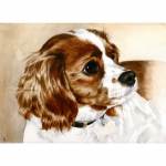 Dog painting. Ralph, Cavalier King Charles Spaniel