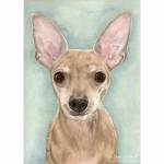 Painting of Chihuahua Buddy