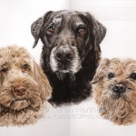 Dog painting. Coco (Cockerpoo), Harvey (Labrador) and Bertie (Border Terrier)
