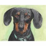 Painting of Dachshund Ollie