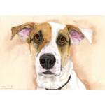 Dog watercolour painting: Oats