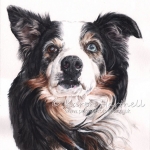 Dog painting. Glen, Border Collie