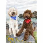 Goldendoodles. Painting of Teddy and Yogi
