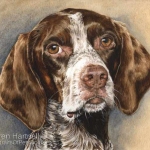 Dog painting. Hero, German Short-haired Pointer