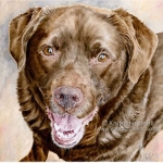 Dog painting. Jess, chocolate Labrador