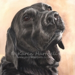 Dog painting. Jet, Black Labrador