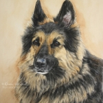 Dog painting. Joey, German Shepherd cross