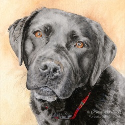 Dog painting. Kara, Black Labrador