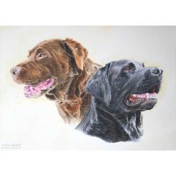 Labrador painting: Chocolate Labrador, Purdey, and Black Labrador, Hector