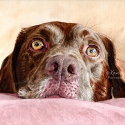 Dog painting. Lily, Chocolate Labrador