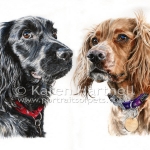 Dog painting. Cocker Spaniels: Logan and Bracken