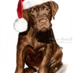 Dog painting. Logie, Chocolate Labrador Puppy