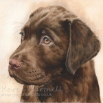 Dog painting. Logie, chocolate Labrador