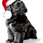 Dog painting. Max, Newfoundland Puppy