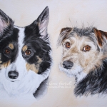 Dog painting. Megan, Border Collie, and Baxter, Border Terrier