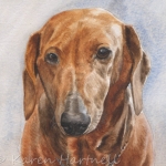 Dog painting. Millie, Dachshund