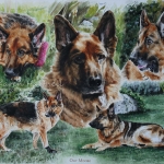 Dog painting. Moose, German Shepherd