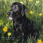 Dog painting. Morty, Black Labrador