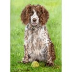 Painting of Cocker Spaniel, Alfie