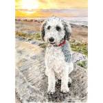 Painting of Old English Sheepdog x Poodle, Denis