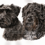 Dog painting. Miniature Schnauzers: Pebbles, Tiamo